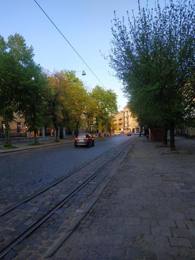 Cozy Studio For Couple Near Polytechnic University Lviv Bagian luar foto